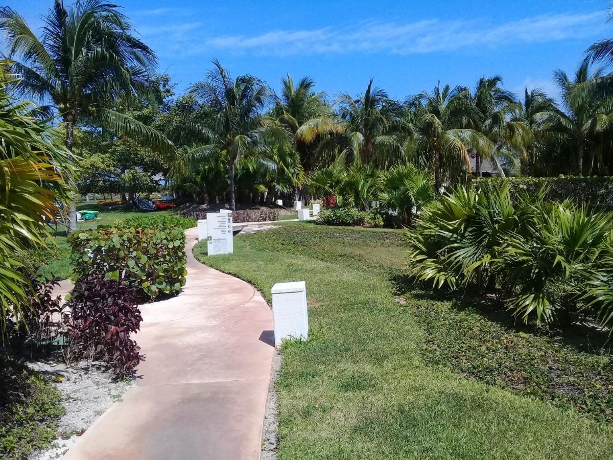 坎昆Swim The Caribbean & Work With A View公寓 外观 照片