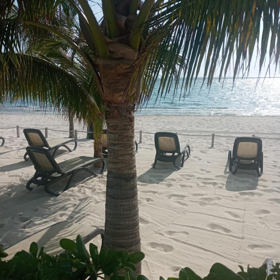 坎昆Swim The Caribbean & Work With A View公寓 外观 照片